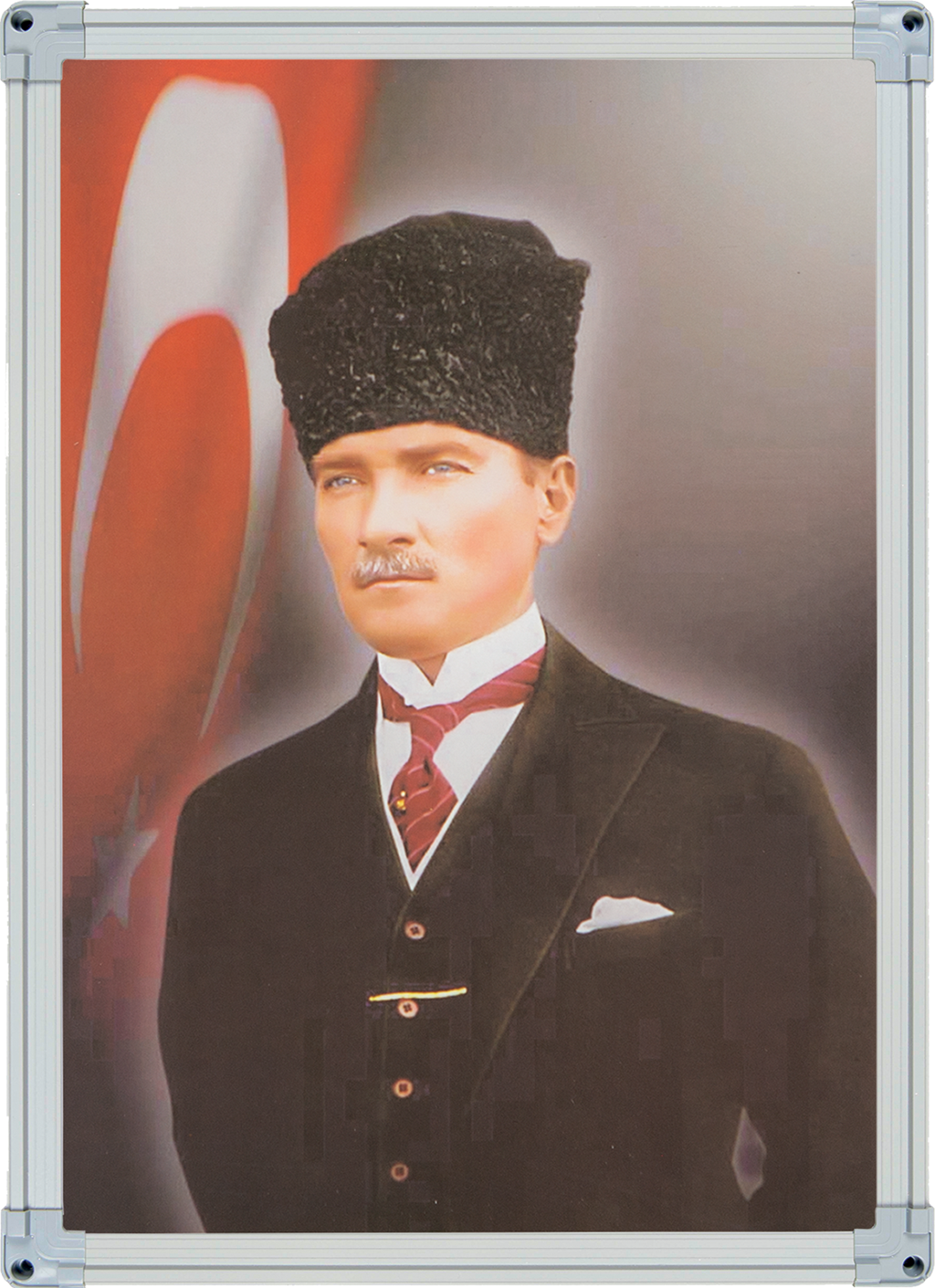 Elegant Framed Special Atatürk Collection