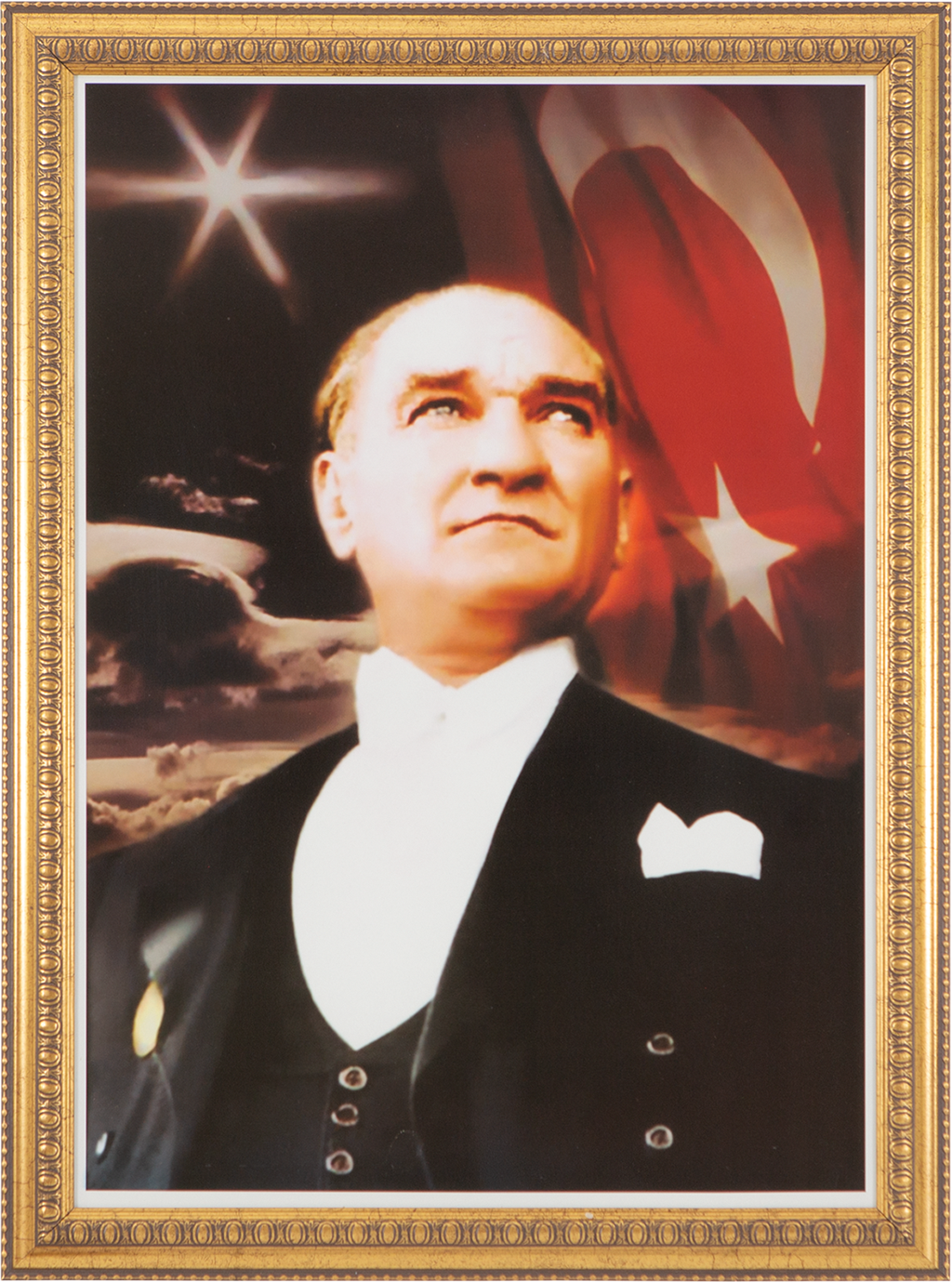 Special Atatürk Collection with Leaf Frame
